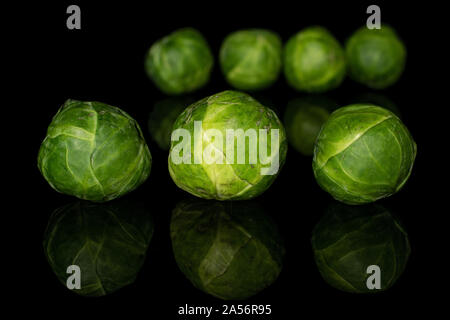 Sprout Gruppe von Sieben ganze Frische grüne Brüssel isoliert auf schwarzem Glas Stockfoto