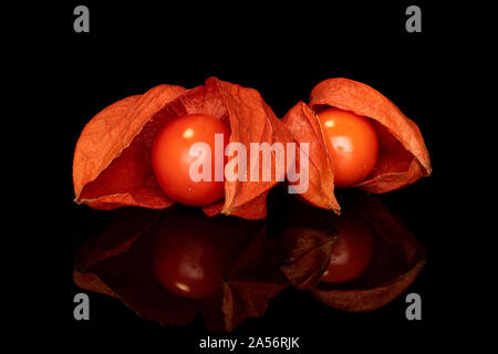 Gruppe von zwei ganze Frische orange Physalis auf schwarzem Glas isoliert Stockfoto