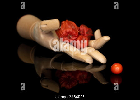 Gruppe von vier ganze Frische orange Physalis mit hölzernen Hand auf schwarzem Glas isoliert Stockfoto