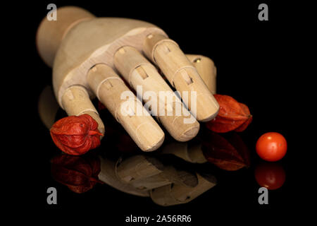 Gruppe von drei ganzen frischen Orange physalis mit hölzernen Hand auf schwarzem Glas isoliert Stockfoto