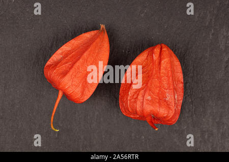 Gruppe von zwei ganze Frische orange Physalis flatlay am grauen Stein Stockfoto