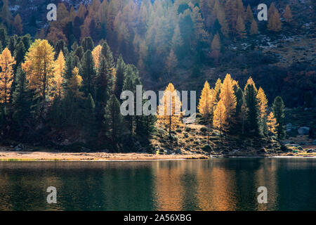 See Cavloc am Maloggia Pass im Herbst im Oberengadin Schweiz Stockfoto