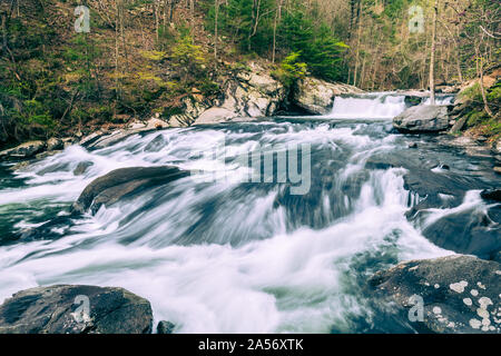 Baby fällt auf den Tellico Fluss, TN # 2. Stockfoto