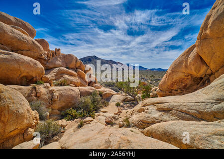 Blick auf Joshua Tree valley von Wanderweg bei Barker Dam. Stockfoto