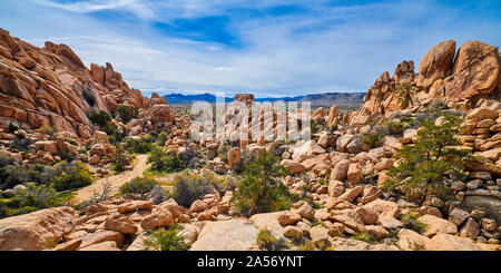 Einfahrt zu Box Canyon im Joshua Tree National Park. Stockfoto