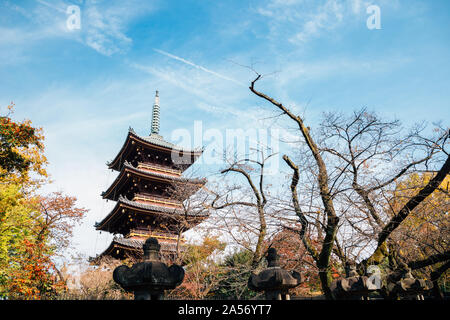 Fünf stöckige Pagode der kanei-ji-Tempel in Ueno Park in Tokio, Japan. Stockfoto