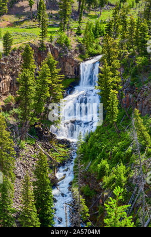 Undine fällt im Yellowstone National Park, Wyoming, USA. Stockfoto