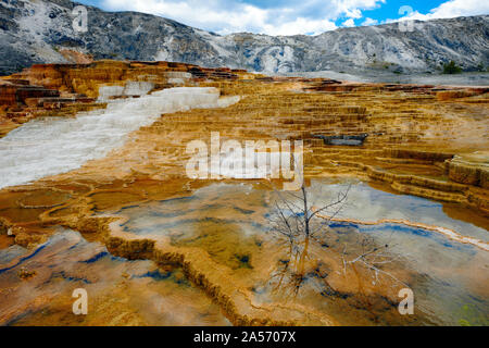 Terrassen in Mammoth Hot Spring, Yellowstone National Park. Stockfoto