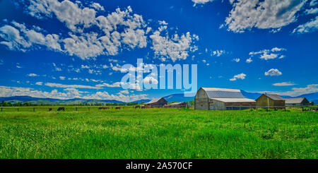 Homestead auf Mornon Zeile im Grand Teton National Park. Stockfoto