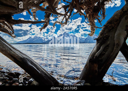 Blick auf die Grand Teton Berge bilden unter einem Baum. Stockfoto