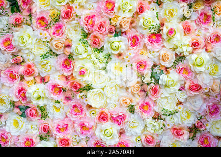 Bunte Rosen Hintergrund. Viele verschiedene Farben. Verschiedene Arten von Rosen Stockfoto