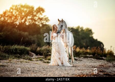 Arabisches Pferd Stockfoto