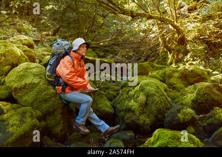 Auf der Suche nach einem verborgenen Pfad in die MOSS-Tal Stockfoto