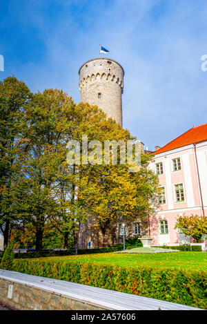 Hoch Hermann Turm in der Altstadt von Tallinn in Estland Stockfoto