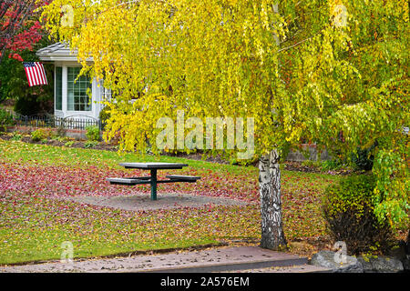 Willow, Aspen, und Pappeln drehen, Gold und Rot entlang der Deschutes River in Downtown Bend, Oregon, im Herbst während Mitte Oktober. Stockfoto