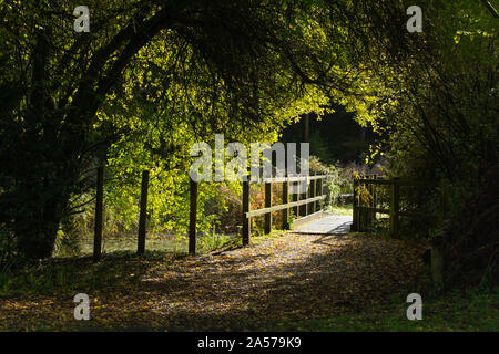 Queen Elizabeth Country Park in der South Downs National Park, Hampshire, UK. Herbst Blick auf den Teich und Steg in der Nähe des Visitor Center. Stockfoto