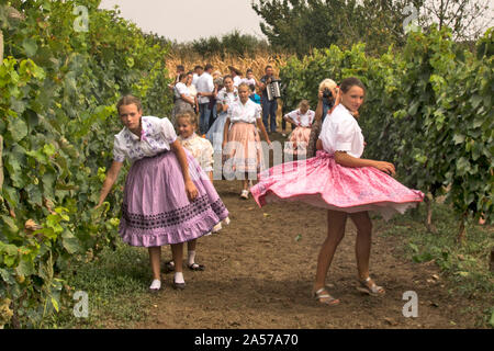 ARADAC, Serbien, September 07, 2019. Spielen Mädchen im Weinberg. Traditionelle slowakische Feier der Beginn der Weinlese, die p nimmt Stockfoto