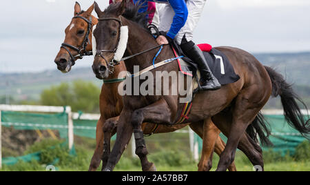 Schließen bis auf zwei Pferde und Jockeys Racing für Position Stockfoto