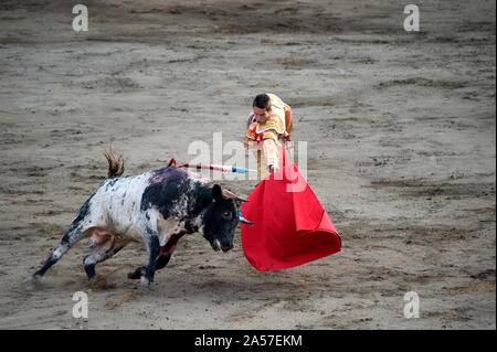 Matador und Stier in einer Stierkampfarena, Lima, Peru Stockfoto