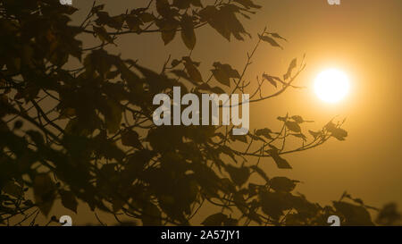 Eine malerische Nahaufnahme eines Sonnenuntergangs. Stockfoto