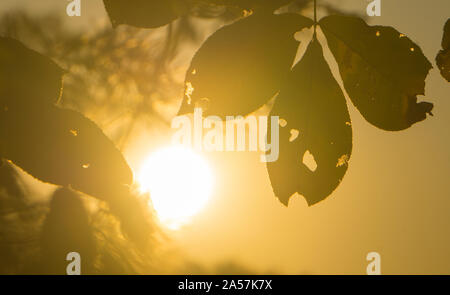 Eine malerische Nahaufnahme eines Sonnenuntergangs. Stockfoto