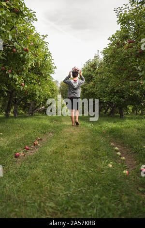 Jugendlich junge balancing Tüte äpfel auf den Kopf wandern in einem Apple Orchard. Stockfoto