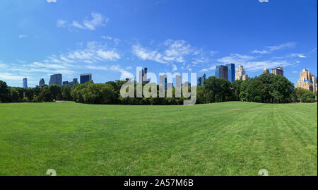 Park mit Wolkenkratzern im Hintergrund, Schafe Wiese, Central Park, Manhattan, New York City, New York State, USA Stockfoto