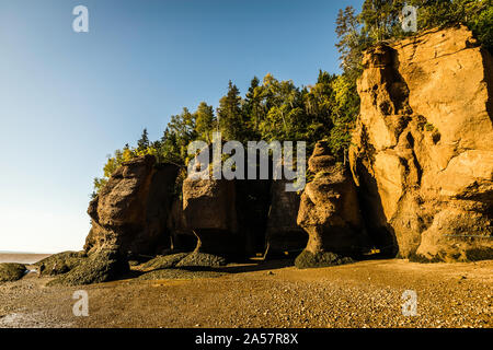 Hopewell Rocks Hopewell Cape, New Brunswick, CA Stockfoto