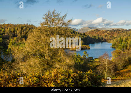 Blick auf den See Tarn Hows zu den Fells im Lake District National Park Cumbria. Das waren einst zwei Tarnen, die jetzt aber zusammengefügt werden. Stockfoto