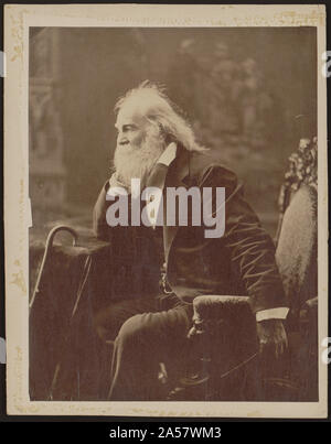 Walt Whitman, drei - Viertel - Länge Porträt, Sitzen, mit Ellenbogen und in der Nähe von Zuckerrohr ruht auf einem Tisch links Stockfoto