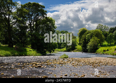 Mann angeln in den Stromschnellen des River Wharfe in Bolton Abbey Wharfedale North Yorkshire England Stockfoto