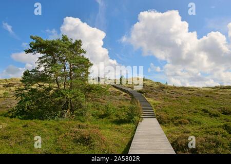 Düne mit Holzsteg, Amrum, Nordfriesische Inseln, Nordfriesland, Schleswig-Holstein, Deutschland Stockfoto