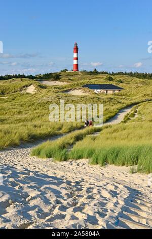 Leuchtturm Amrum im Dünengebiet, Amrum, Nordfriesische Inseln, Nordfriesland, Schleswig-Holstein, Deutschland Stockfoto