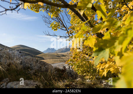 Herbstlaub im Gran Sasso und Laga Mountains National Park in Italien Stockfoto