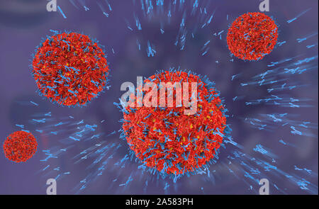 Antikörper attackieren Viruspartikeln, Abbildung Stockfoto