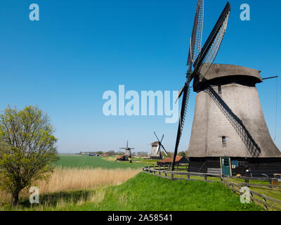 Ländliche Szene mit Windmühlen, Schermerhorn, Nord Holland, Niederlande Stockfoto