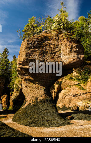 Hopewell Rocks Hopewell Cape, New Brunswick, CA Stockfoto