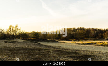 Landschaft der Boberger Dünen bei Sonnenuntergang im Winter Stockfoto