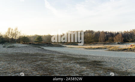 Landschaft der Boberger Dünen bei Sonnenuntergang im Winter Stockfoto