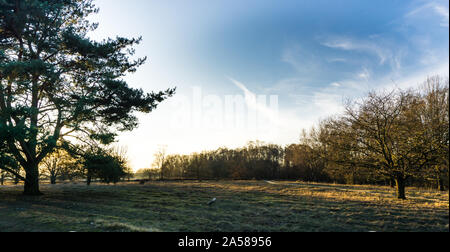 Landschaft der Boberger Dünen bei Sonnenuntergang im Winter Stockfoto