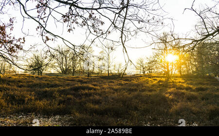 Landschaft der Boberger Dünen bei Sonnenuntergang im Winter Stockfoto