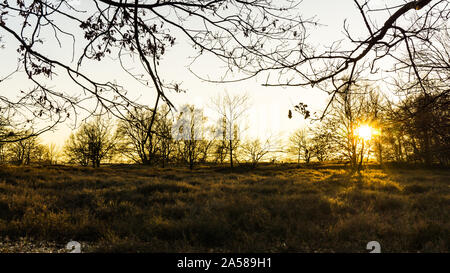 Landschaft der Boberger Dünen bei Sonnenuntergang im Winter Stockfoto