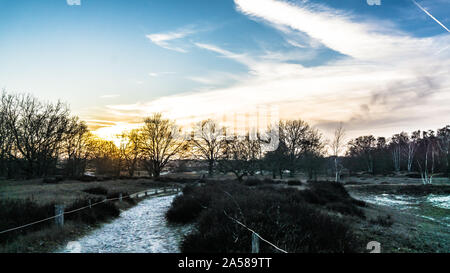 Landschaft der Boberger Dünen bei Sonnenuntergang im Winter Stockfoto