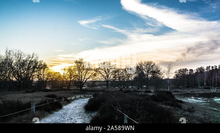 Landschaft der Boberger Dünen bei Sonnenuntergang im Winter Stockfoto