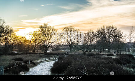 Landschaft der Boberger Dünen bei Sonnenuntergang im Winter Stockfoto