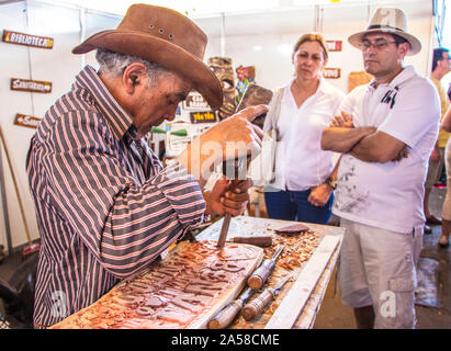 Revelando São Paulo (Festival da Cultura Paulista Tradicional) - Parque do Trote, Paulista traditionelle Kultur Festival, Park Trab, São Paulo, Brasilien Stockfoto