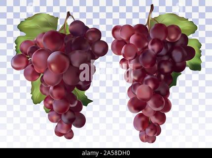 Icon Set rote Trauben. Frische rote Trauben auf transparentem Hintergrund. Tafeltrauben. 3D realistische Früchte Weintrauben. Vector Illustration Stock Vektor