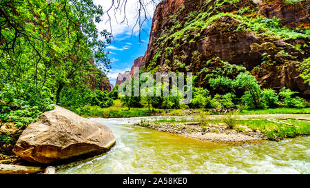 Des Virgin River bei Geheimnis Canyon und der verengt, wie es seinen Weg durch den Sandstein Berge von Zion National Park geschnitzt Stockfoto