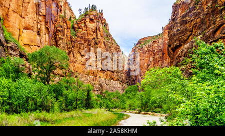 Des Virgin River bei Geheimnis Canyon und der verengt, wie es seinen Weg durch den Sandstein Berge von Zion National Park geschnitzt Stockfoto