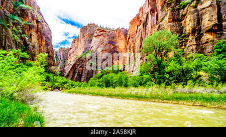 Des Virgin River bei Geheimnis Canyon und der verengt, wie es seinen Weg durch den Sandstein Berge von Zion National Park geschnitzt Stockfoto